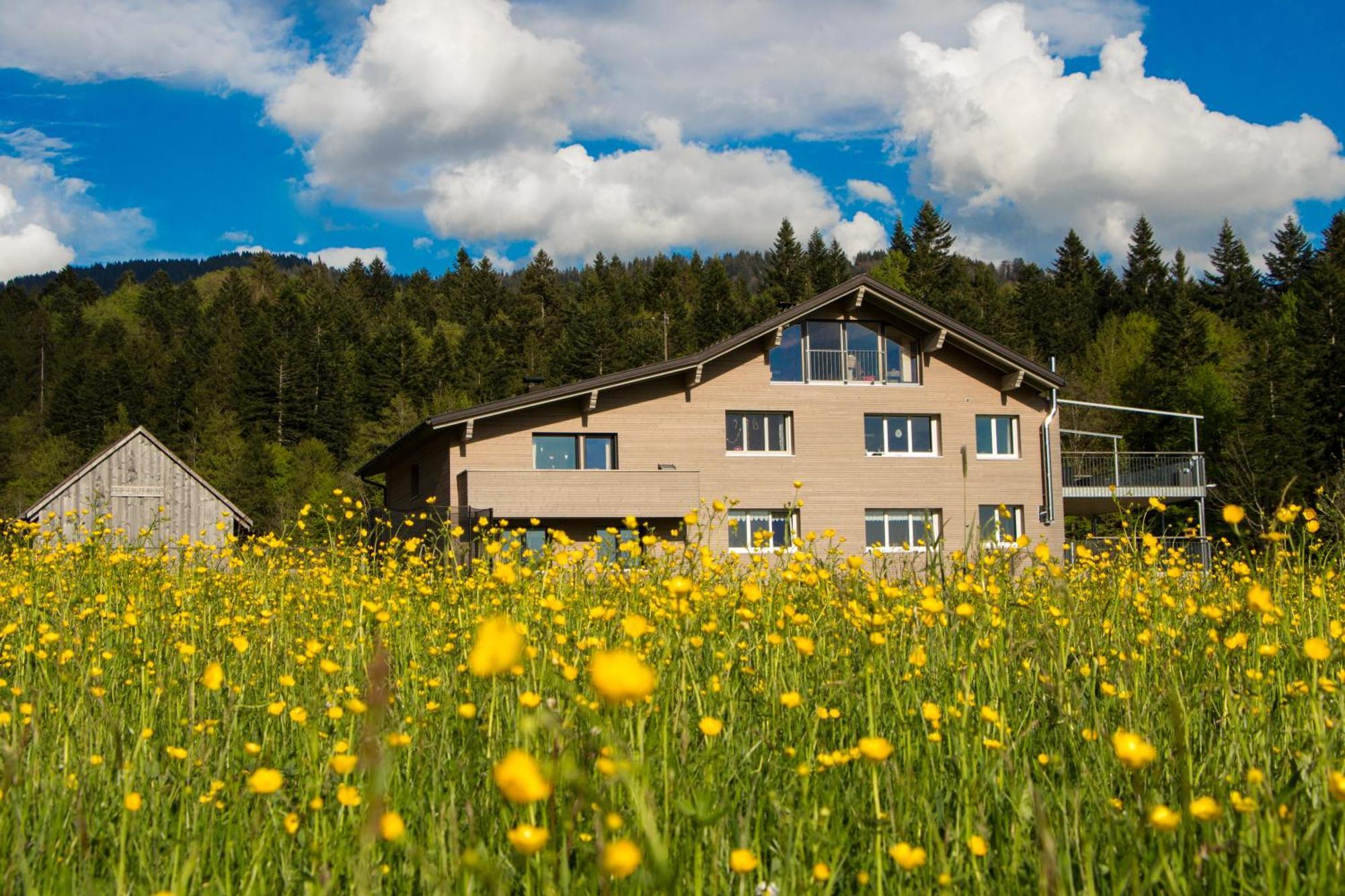Haus Feurstein Apartman Hittisau Kültér fotó